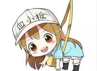 动漫萌王来袭，虎太郎直率可爱是哥控，网友：又要骗我养熊孩子