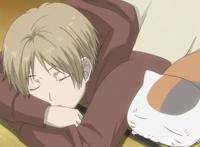 盘点4部犹如春风般的治愈番，看一部少一部！