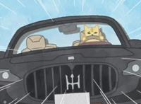 北漂，你们有这样的老家可以回吗——《乌冬国的金色毛球》