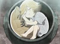 《乌冬面之国的金色毛球》宗太收养了波可，波克却给了宗太亲情