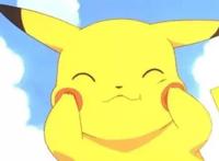 人不如宠！日媒票选最想成为的宠物排行榜