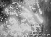 错过这些冷门番，你的人生该不完整了