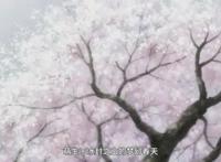 错过这些冷门番，你的人生该不完整了