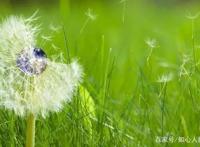 扬眉吐气！日漫能做到的，张艺谋和国漫都做到了