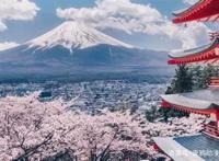 笨蛋也能成为轻小说家！这本轻小说简直颠覆人类想象！有望动画化