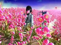 《锦绣神州之姓氏王国》风羲