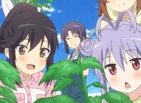 一月有哪些值得一看的萌系动画？这几部我必须安利一下