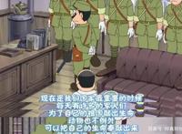 十年首次下降，日本动画产业为何不行了？