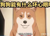 悠哉日常大王第三季5：小鞠玩偶妖怪传说，千古武学奇才喵帕斯