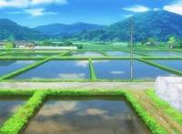 《悠哉日常大王》一起开始喵帕斯之旅！