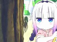 小林家的龙女仆：第二季制作决定，康娜归来！伊露露或终登场？