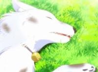 社畜青年赶上异世界穿越潮流，开挂当药师开启悠闲生活