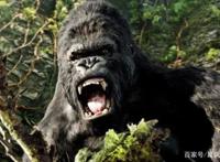 寻找彩蛋与心理认同——观《头号玩家》有感