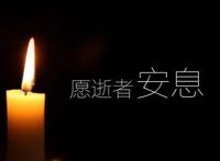 为何灭龙魔导士都有猫，简析《妖精的尾巴》差评多却深受喜爱