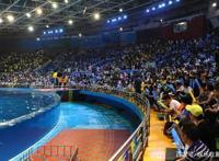 海尔兄弟突破次元壁，携手海昌海洋公园开启线下见面会