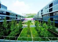 13载的“青岛国际动漫游戏产业园”，正式退出历史舞台