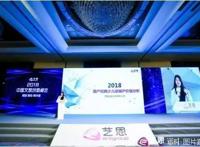 艺恩权威发布：海尔兄弟领衔IP价值榜，定义动画片2.0时代