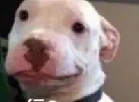 新版《海尔兄弟》将上线，穿上衣服的海尔兄弟你还认识吗？｜新京报快评