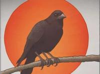 这种远古神兽究竟有多野，直接带你遨游宇宙眩晕上头