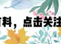 感情从眼神中就能看出来，小哀对柯南的感情，就像是向日葵的花语