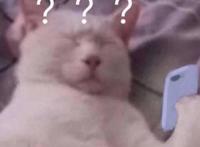 柯南史上最烂剧场版——《业火的向日葵》之背锅侠怪盗基德！