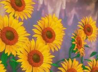 柯南：业火的向日葵剧情成真？梵高画作被偷，“柯学”定律真香！