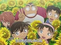 名侦探柯南——《被偷走的业火向日葵》