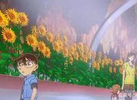 柯南：《业火的向日葵》即在电影频道播出，质量却劝退了不少漫迷