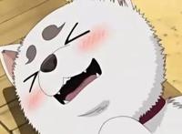 人不如狗系列，盘点动画中那些高人气的犬类角色