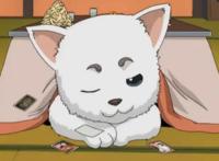 人不如狗系列，盘点动画中那些高人气的犬类角色