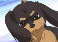 人不如狗系列，盘点动画中那些高人气的犬类角色