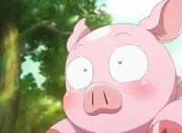 人不如动物系列，动漫中的美少女都是重口味，不爱帅哥爱动物！