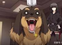 动漫中的猫咪这么“萌帅”，为什么一到狗画风就变了？