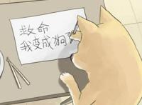 一条狗：这条国漫人气狗，让所有人羡慕不已，网友：人活得不如狗