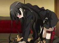 一条狗：这条国漫人气狗，让所有人羡慕不已，网友：人活得不如狗