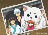 动漫里五只宠物狗，第三只专咬熟人，最后一只娶了白富美！