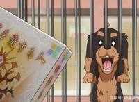 狗年“虐狗”？男主开局领便当，从此过上没羞没躁的恋爱生活？