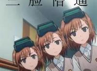 人不如兽，“生不如加速猪，死不如剪刀狗”动物也能走后宫路线