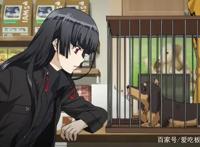 狗与剪刀的正确用法：不读书毋宁死，一只爱好阅读的腊肠狗