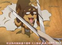 狗与剪刀的正确用法：不读书毋宁死，一只爱好阅读的腊肠狗