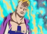 马尔科才是真正的男人，白胡子意志的继承者，真正的“不死鸟”