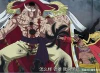 谁会是洛克斯意志的继承者？