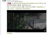 《魔道祖师Q》官宣定档，魏无羡、蓝忘机也太可爱了吧