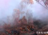 《冰雪奇缘2》结局解析，为何安娜成为新女王，未来汉斯将复仇