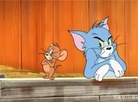 真人版《猫和老鼠》：情怀都无法拯救的这部大杂烩！