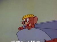 已经播出81年了，《猫和老鼠》凭什么还能稳站童年经典的C位