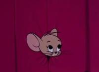 《猫和老鼠》真人CG电影改档至明年12月，汤姆胯间锯树预定