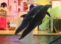 暑假去哪儿？推荐台州这11处好玩地开启亲子之旅吧