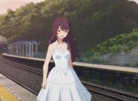 这动漫讲了个啥？快过年了！漫友至今仍未知道烟花侧面看是扁是圆