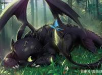 驯龙高手：龙本来是人类的朋友，但人类却一无所知